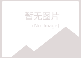 白银平川夏岚制造有限公司